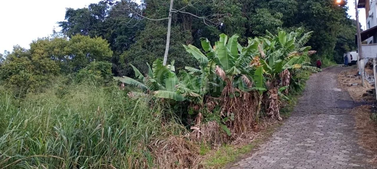 Terreno para venda em Rio Tavares com 4865 m² — foto 4