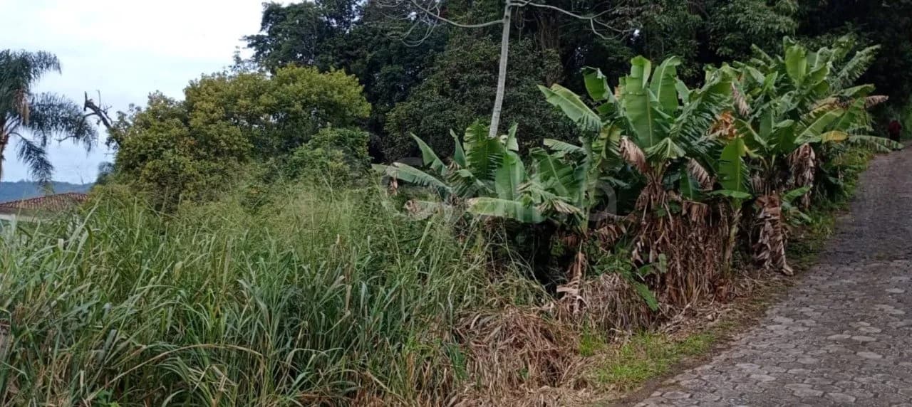 Terreno para venda em Rio Tavares com 4865 m² — foto 5