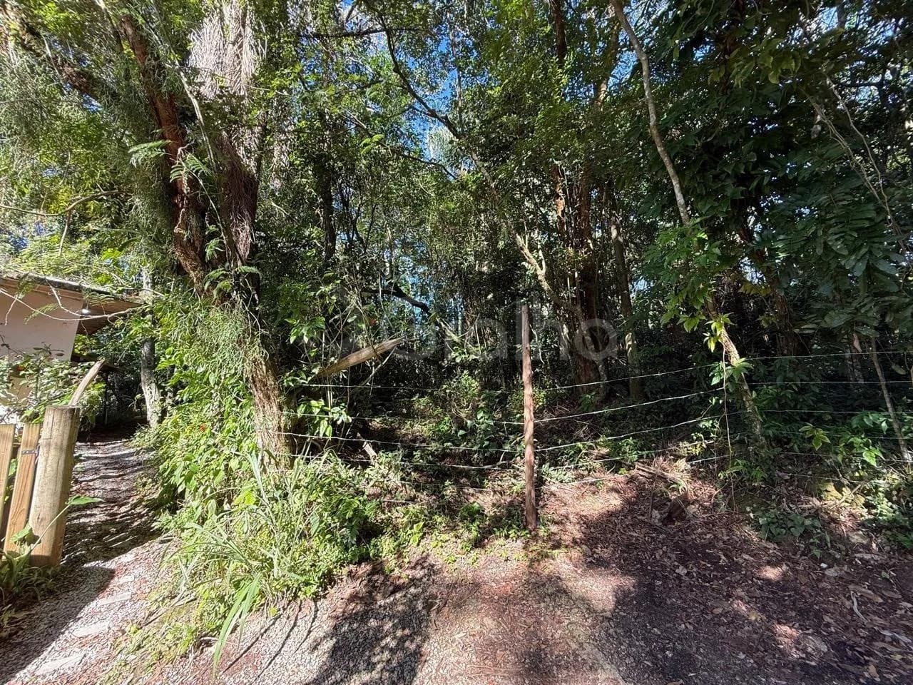 Terreno para venda em Lagoa Da Conceição com 3495 m² — foto 2