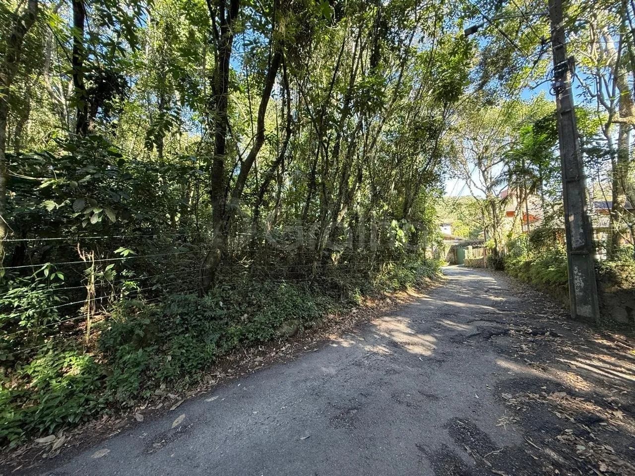 Terreno para venda em Lagoa Da Conceição com 3495 m² — foto 3