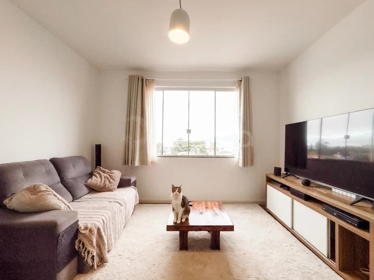 Apartamento para venda com 3 dormitórios em Capoeiras com 91 m² — foto principal