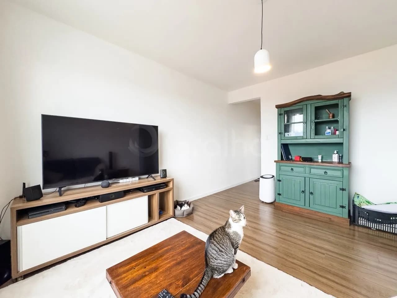 Apartamento para venda com 3 dormitórios em Capoeiras com 91 m² — foto 2