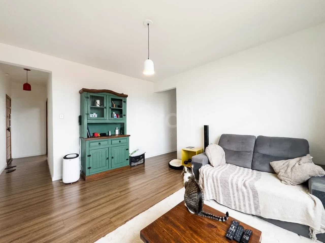 Apartamento para venda com 3 dormitórios em Capoeiras com 91 m² — foto 3