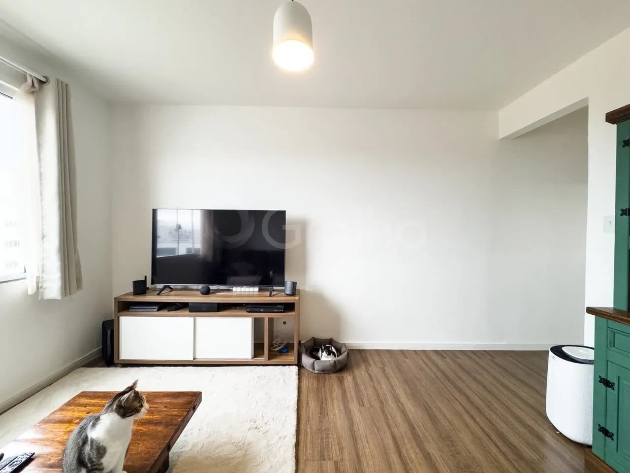 Apartamento para venda com 3 dormitórios em Capoeiras com 91 m² — foto 4