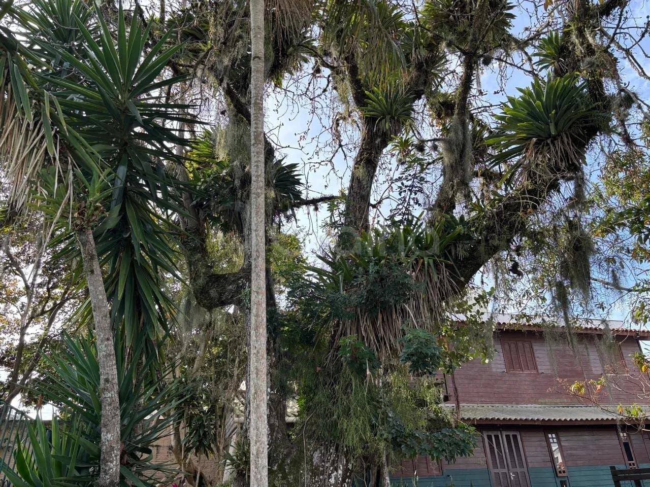 Terreno para venda em Trindade com 817 m² — foto 5