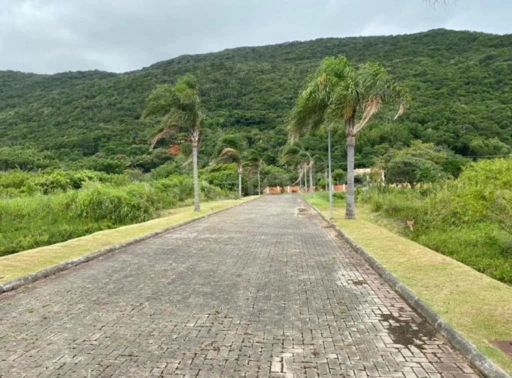 para venda em Pântano Do Sul com 375 m² — foto principal