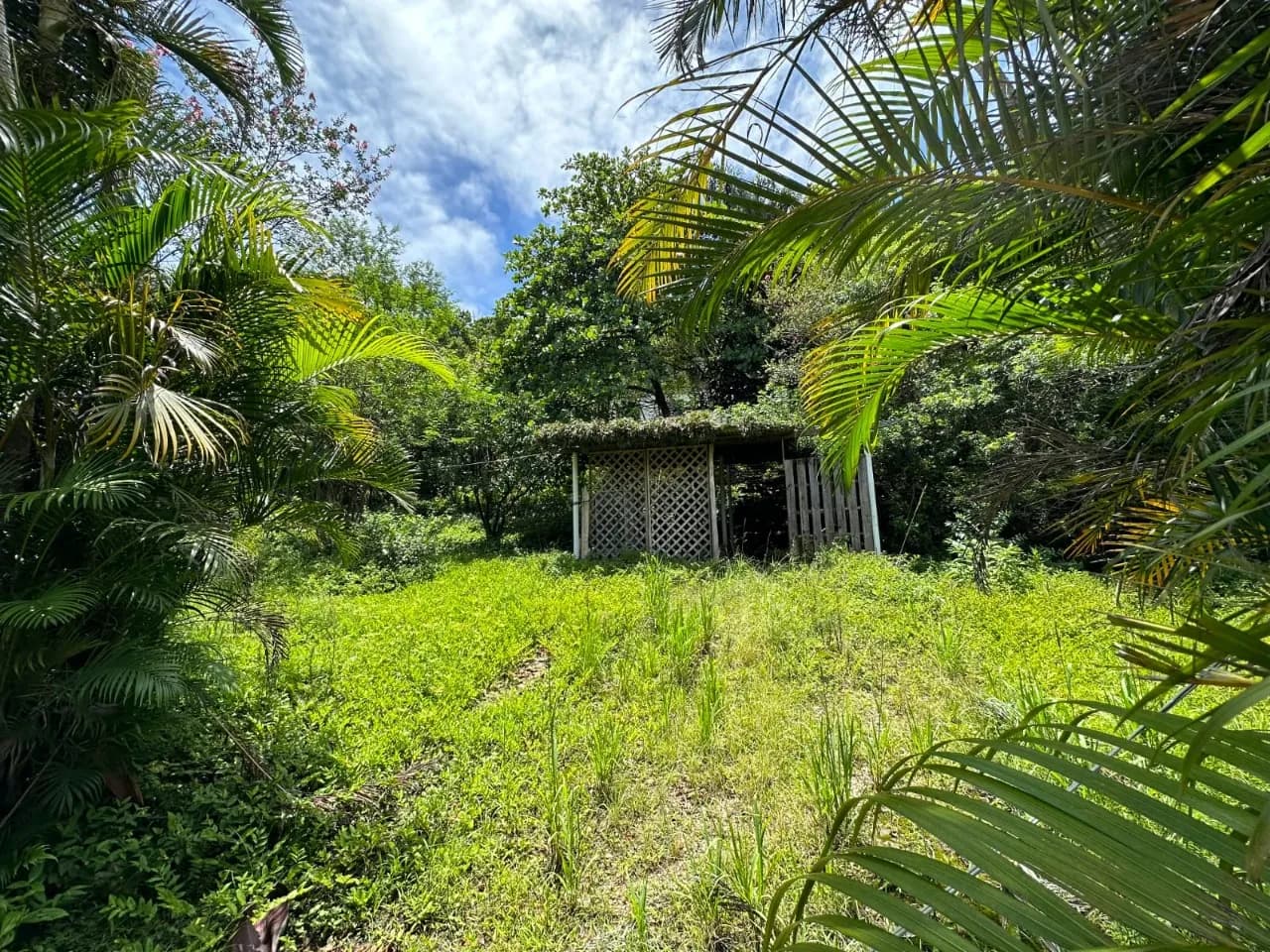 Terreno para venda em Praia De Fora com 1049 m²