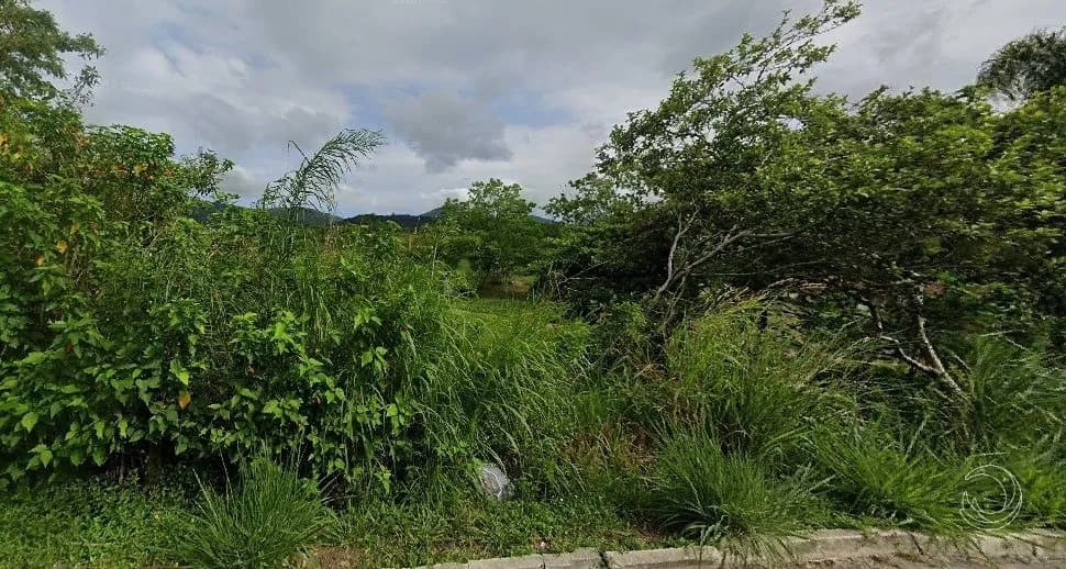 Terreno para venda em Canasvieiras com 1448 m²