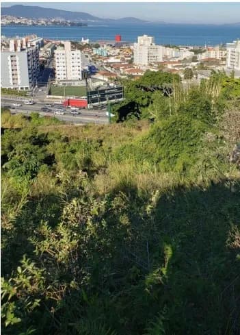Terreno para venda em Picadas Do Sul com 14708 m²