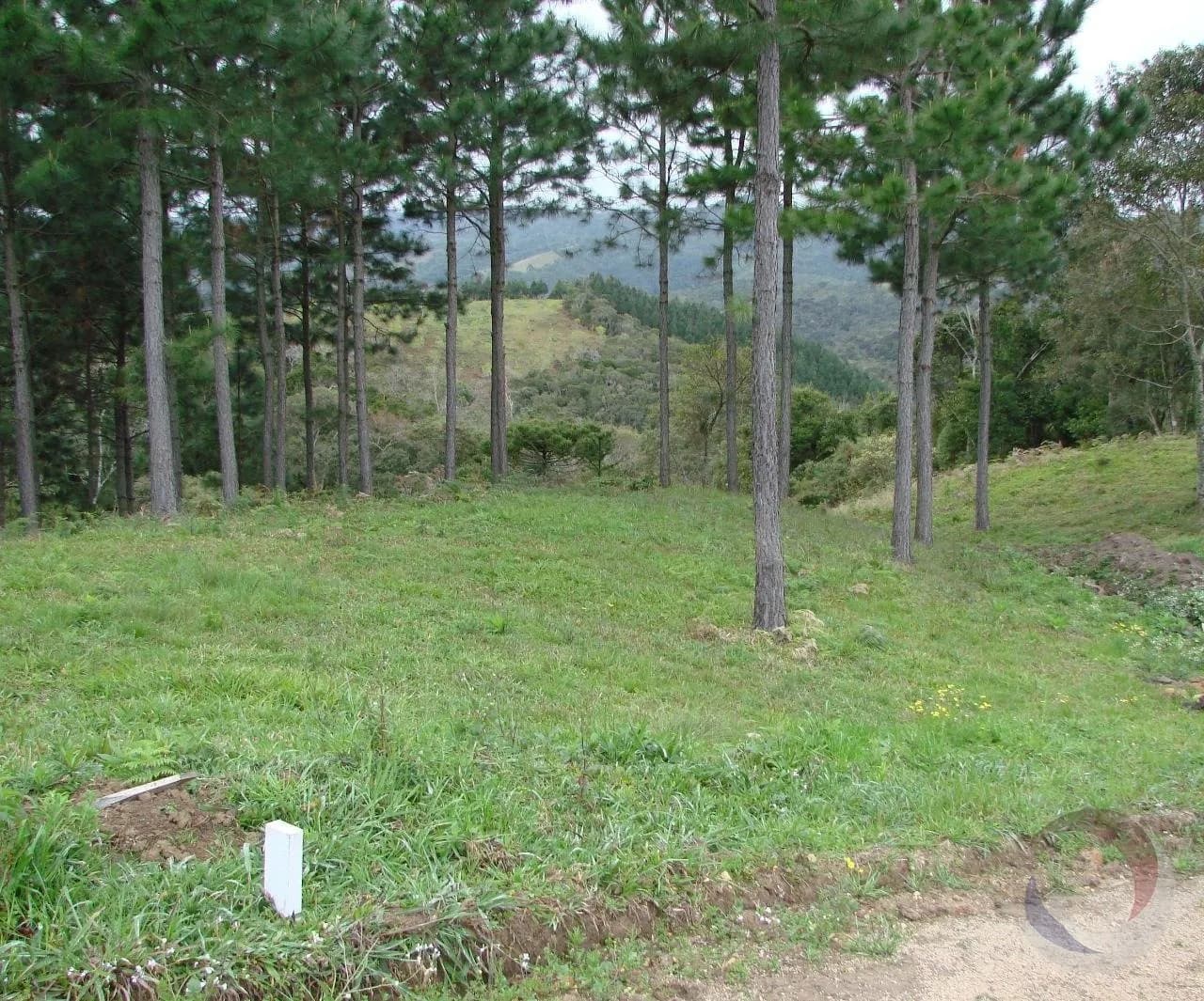 Terreno para venda em Rancho Queimado com 2340 m²