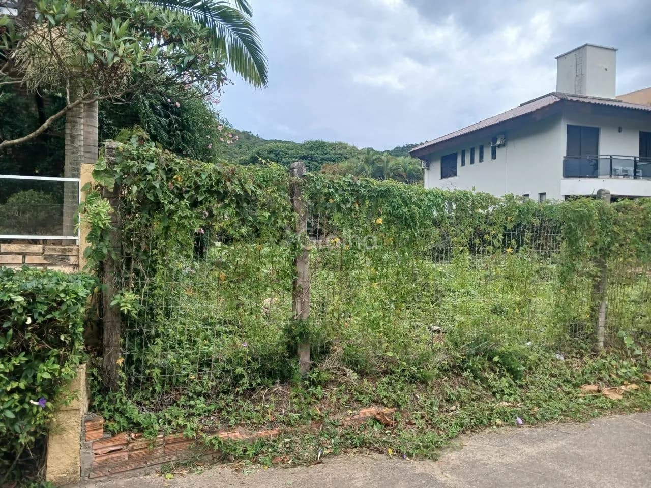 Terreno para venda em Praia Brava com 605 m²