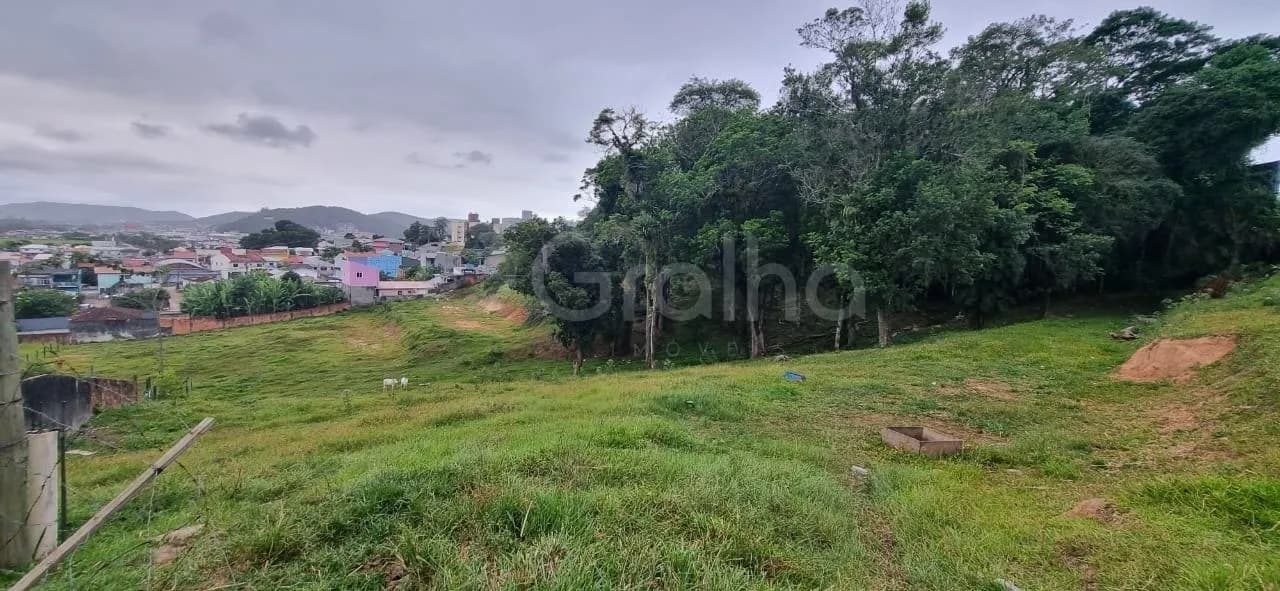 Terreno para venda em Picadas Do Sul com 7314 m²