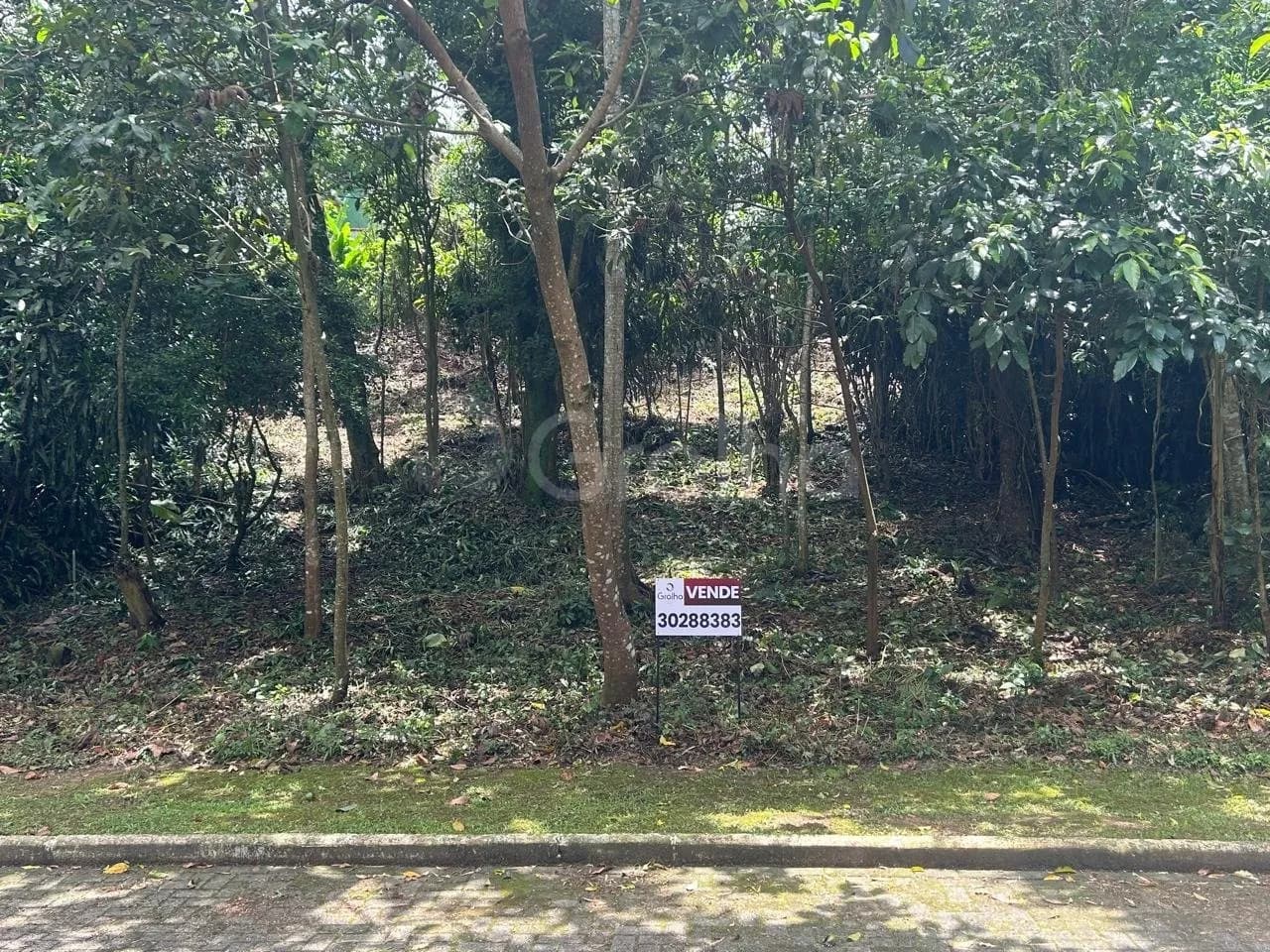 Terreno para venda em Rio Tavares com 400 m²